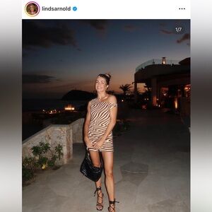 NWT White fox boutique Neutral Zebra-Stripe Bodycon Dress in Cream & Brown